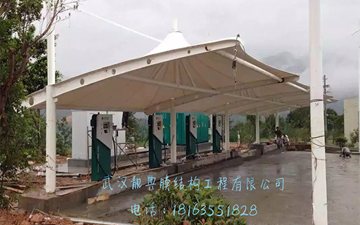  案例展示